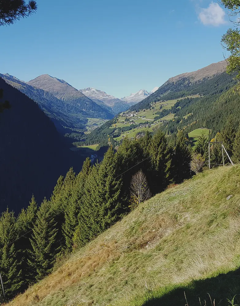 Tourismusverband Defereggental